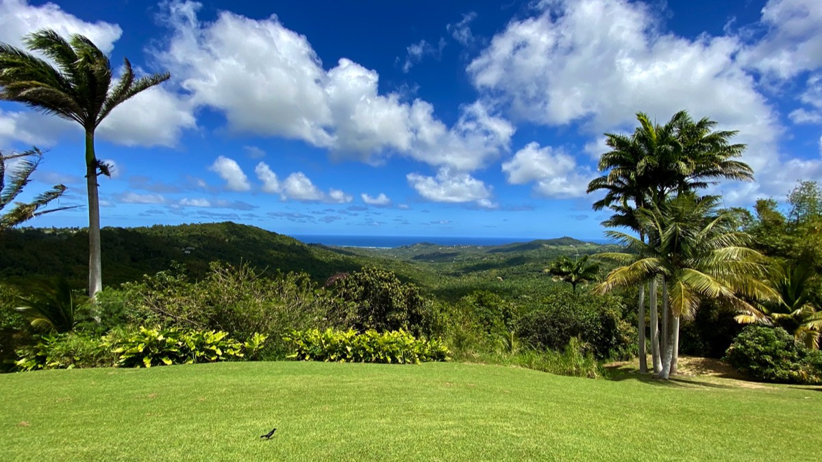Links Mount Hillaby mit Blick zur Karibischen See
